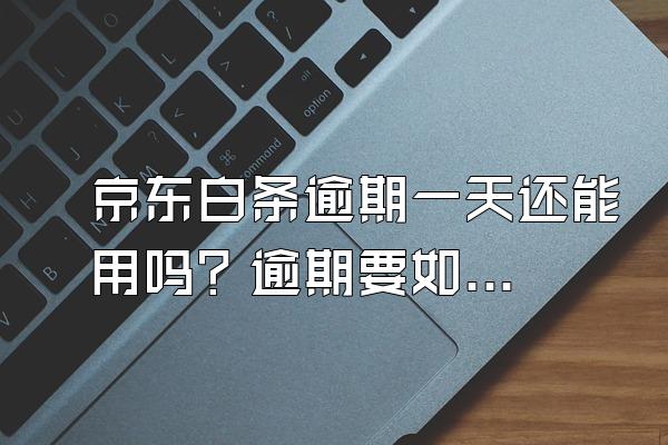 京东白条逾期一天还能用吗？逾期要如何解决？