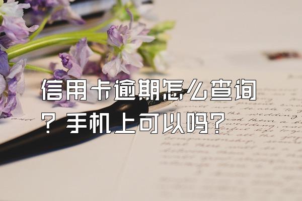 信用卡逾期怎么查询？手机上可以吗？