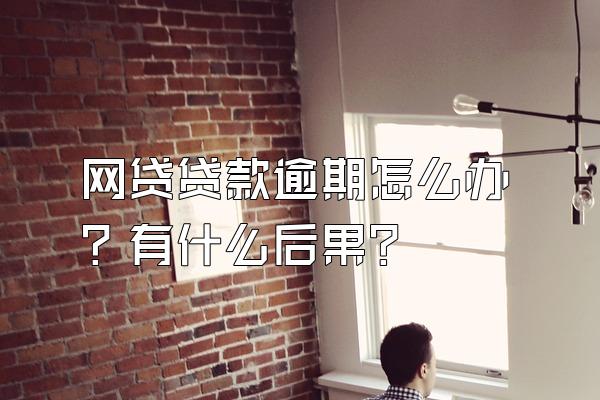 网贷贷款逾期怎么办？有什么后果？