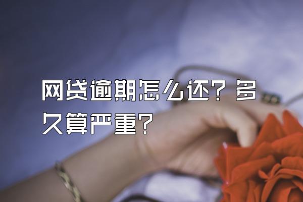 网贷逾期怎么还？多久算严重？
