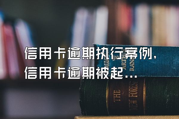 信用卡逾期执行案例，信用卡逾期被起诉的案例