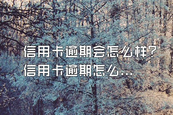 信用卡逾期会怎么样？信用卡逾期怎么办？