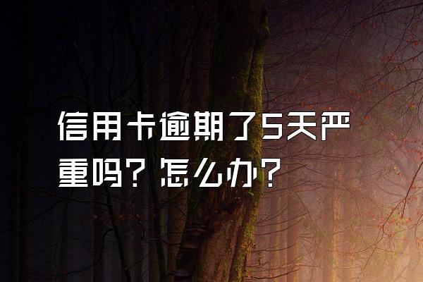 信用卡逾期了5天严重吗？怎么办？
