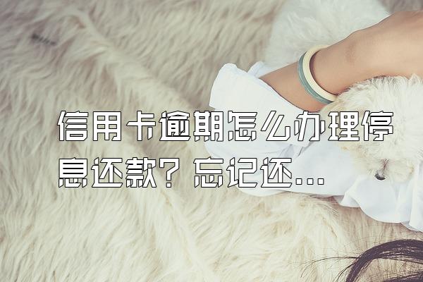 信用卡逾期怎么办理停息还款？忘记还款逾期了怎么办？