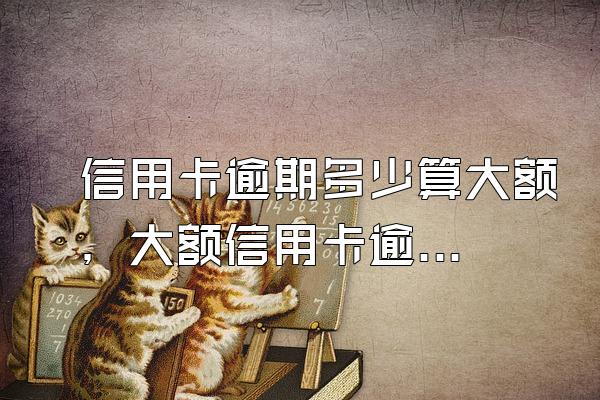 信用卡逾期多少算大额，大额信用卡逾期立案流程