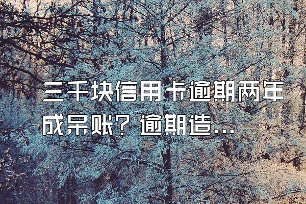 三千块信用卡逾期两年成呆账？逾期造成的呆账有多严重？