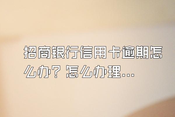 招商银行信用卡逾期怎么办？怎么办理停息挂账？