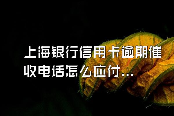 上海银行信用卡逾期催收电话怎么应付？催收人员要注意什么？