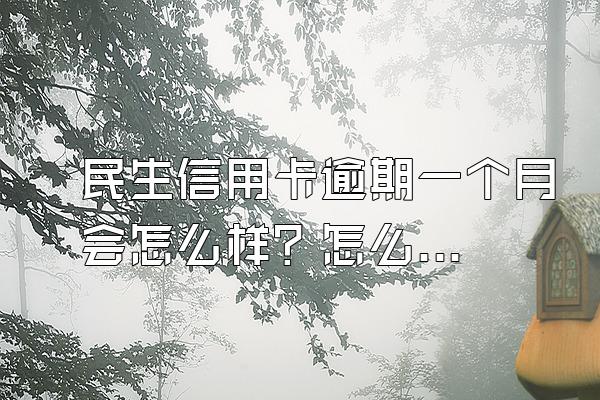 民生信用卡逾期一个月会怎么样？怎么避免信用卡逾期？