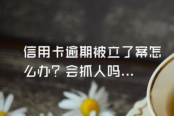 信用卡逾期被立了案怎么办？会抓人吗？