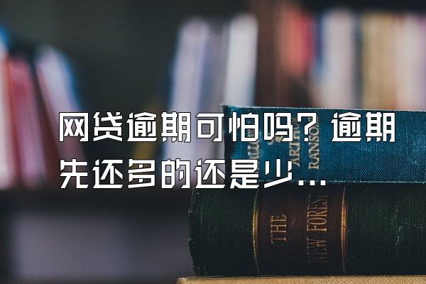 网贷逾期可怕吗？逾期先还多的还是少的？
