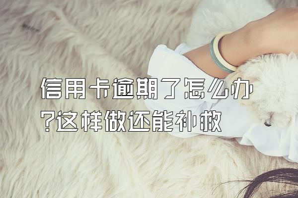 信用卡逾期了怎么办?这样做还能补救