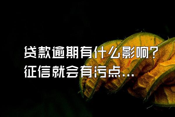 贷款逾期有什么影响?征信就会有污点?