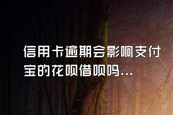 信用卡逾期会影响支付宝的花呗借呗吗？