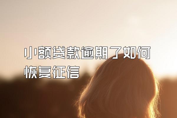 小额贷款逾期了如何恢复征信