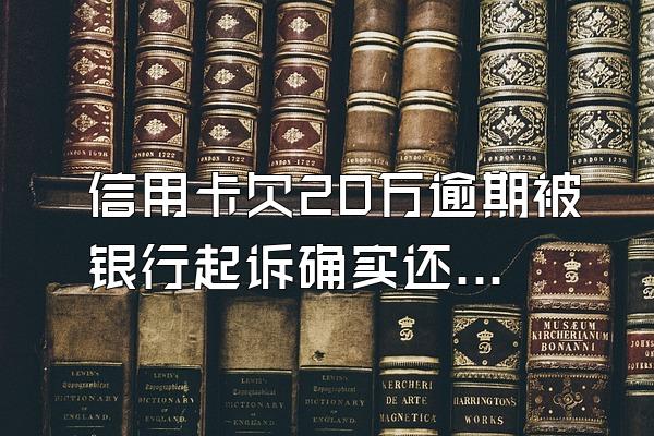 信用卡欠20万逾期被银行起诉确实还不起怎么办？