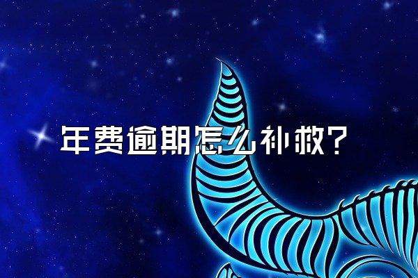 年费逾期怎么补救？