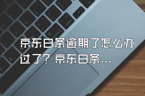 京东白条逾期了怎么办过了？京东白条逾期有什么后果？