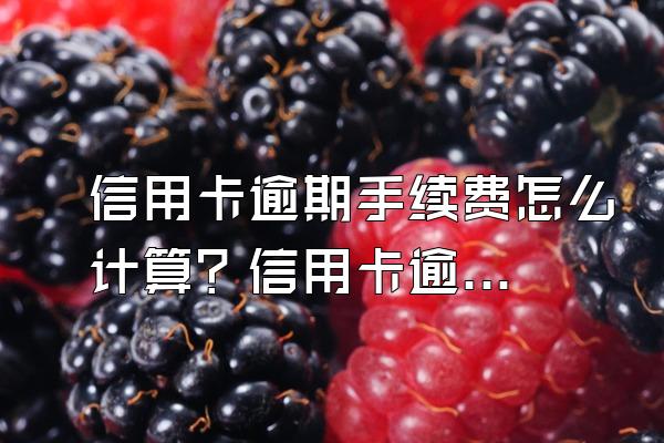 信用卡逾期手续费怎么计算？信用卡逾期有什么后果？