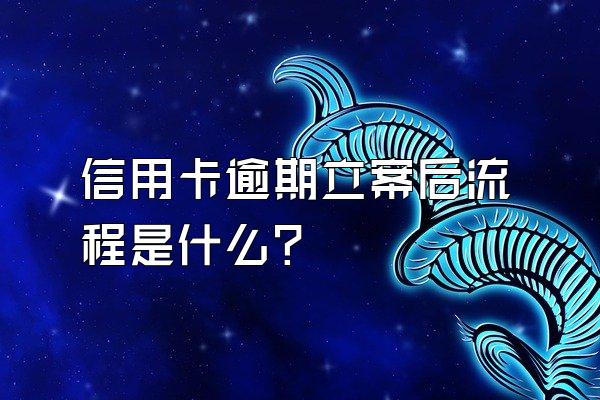 信用卡逾期立案后流程是什么？