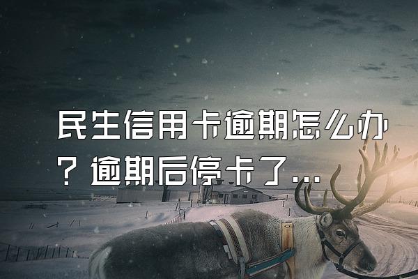 民生信用卡逾期怎么办？逾期后停卡了怎么办？