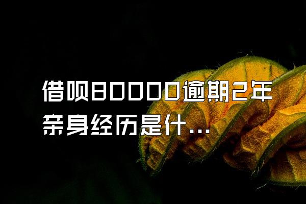 借呗80000逾期2年亲身经历是什么样的？借呗逾期了该怎么办？