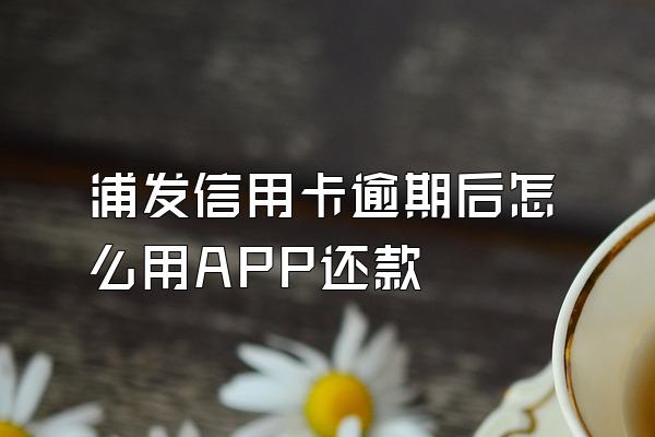 浦发信用卡逾期后怎么用APP还款