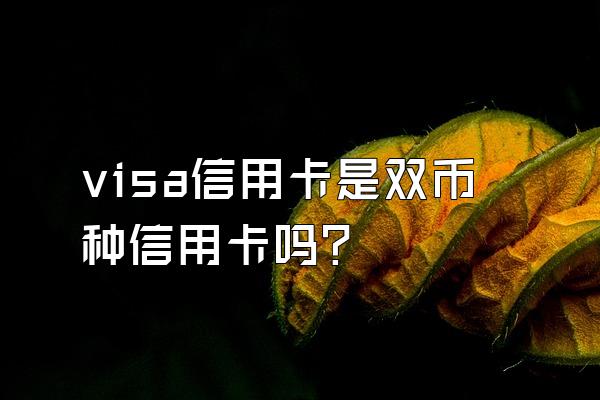visa信用卡是双币种信用卡吗？