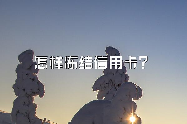 怎样冻结信用卡？