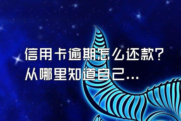 信用卡逾期怎么还款？从哪里知道自己信用卡逾期了？