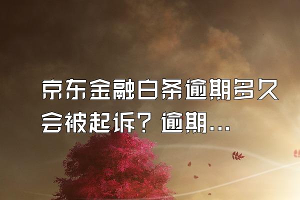 京东金融白条逾期多久会被起诉？逾期有可能坐牢吗？