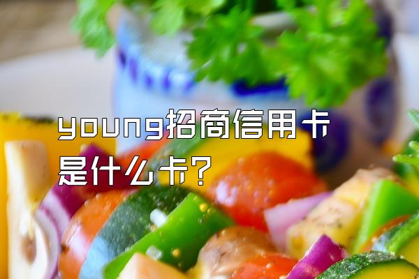 young招商信用卡是什么卡？