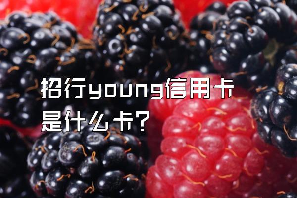招行young信用卡是什么卡？