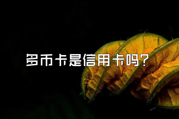 多币卡是信用卡吗？