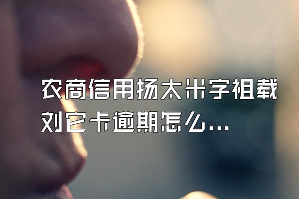 农商信用扬太米字祖载刘它卡逾期怎么办?农商曾快江孙首信用卡逾期还款后果是什么?