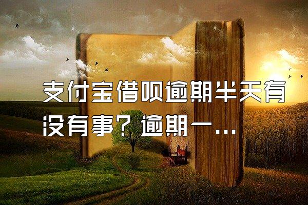 支付宝借呗逾期半天有没有事？逾期一天额度就没有了吗？