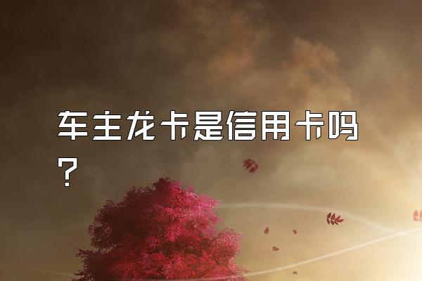 车主龙卡是信用卡吗？