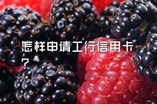怎样申请工行信用卡？