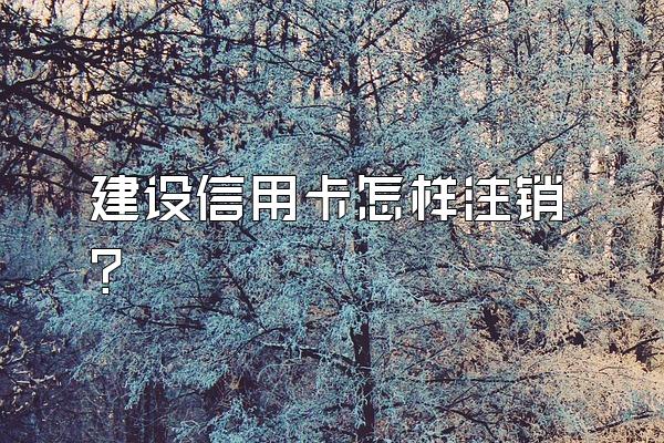建设信用卡怎样注销？