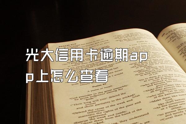 光大信用卡逾期app上怎么查看