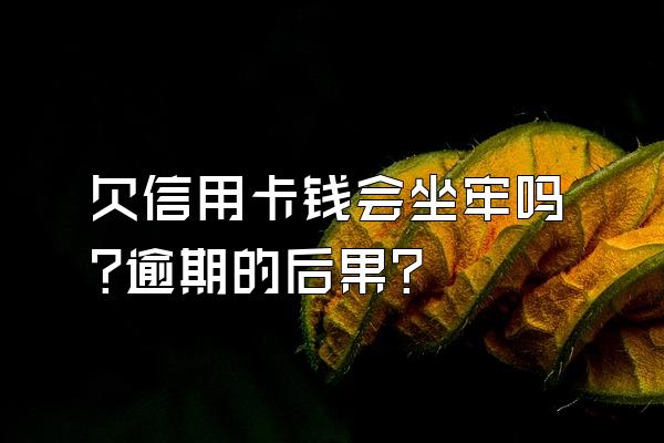 欠信用卡钱会坐牢吗?逾期的后果?