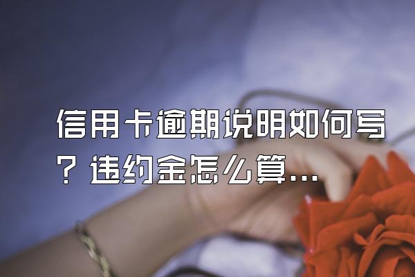 信用卡逾期说明如何写？违约金怎么算？