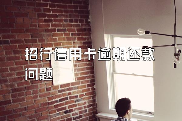 招行信用卡逾期还款问题