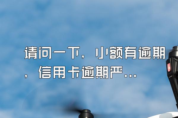 请问一下，小额有逾期，信用卡逾期严重。还能办信用卡吗。