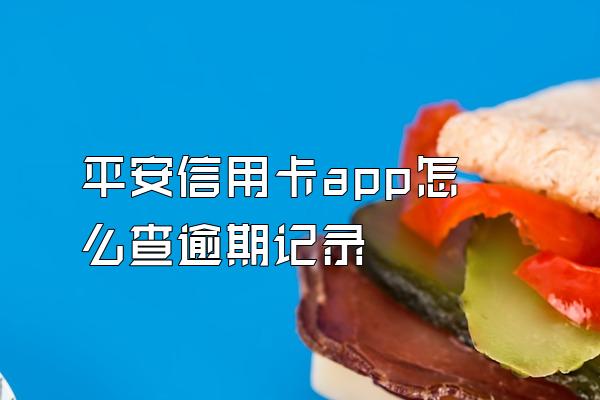 平安信用卡app怎么查逾期记录