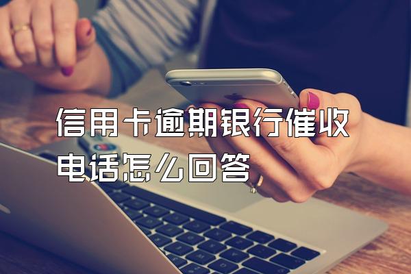 信用卡逾期银行催收电话怎么回答