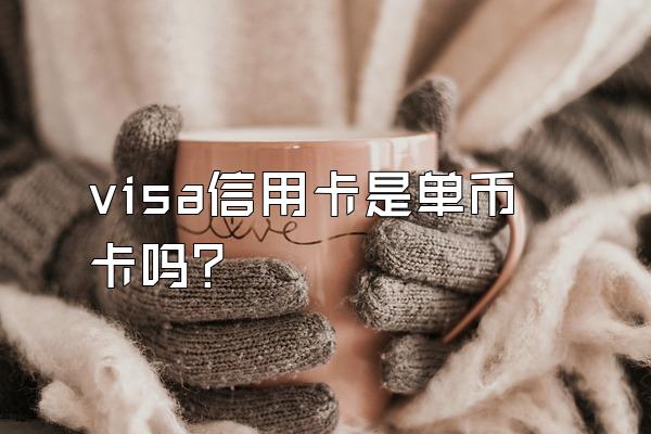 visa信用卡是单币卡吗？