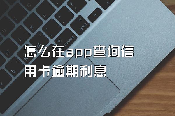怎么在app查询信用卡逾期利息