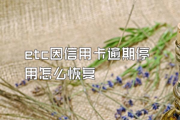 etc因信用卡逾期停用怎么恢复