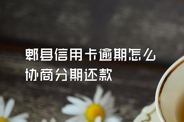 郫县信用卡逾期怎么协商分期还款